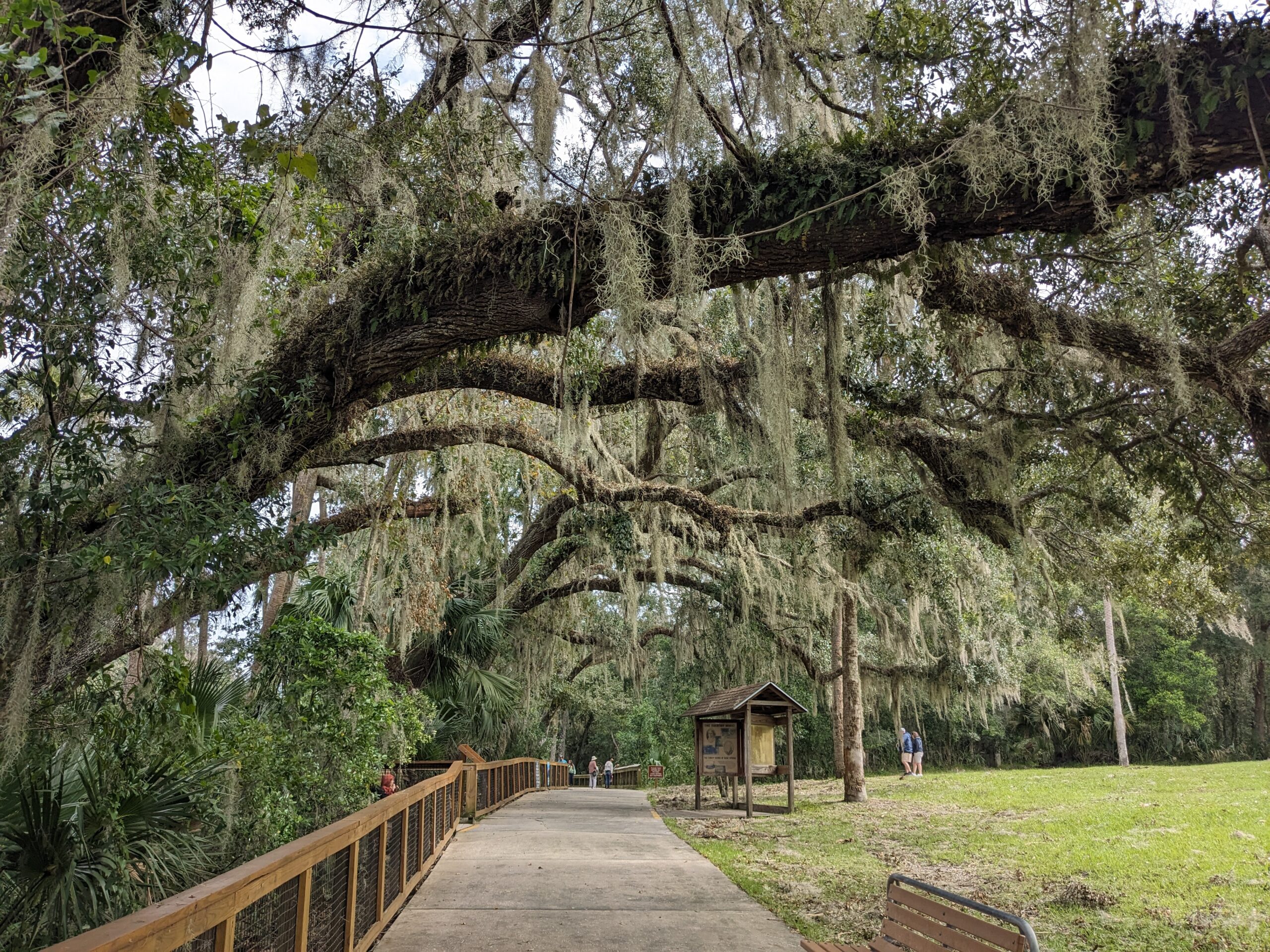 Tag 9: Blue Spring State Park